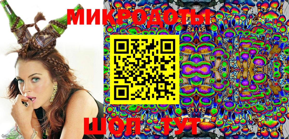 Псилоцибиновые грибы мицелий Кохма