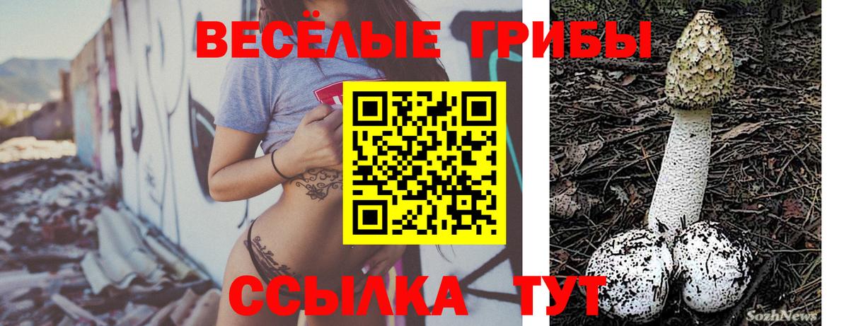 Кохма  Псилоцибиновые грибы мицелий  Галлюциногенные грибы мухоморы  Вход с VPN 